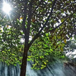Tomada en la Sierra Nevada de Santa Marta en donde el Mama Jandu Wellness Retreat & Mindfulness