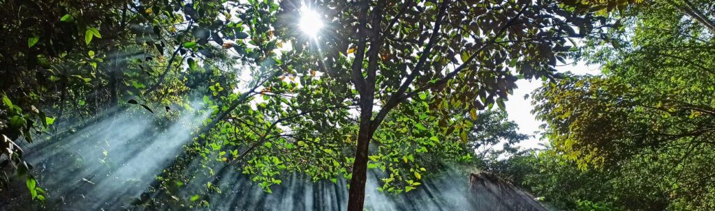 Retiros de Bienestar La Guajira Colombia T´zamana Wellness Retreat Sierra Nevada de Santa Marta Wellness Retreat & Mindfulness