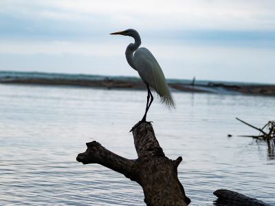 retiros de bienestar la guajira colombia Wellness Retreat & Mindfulness