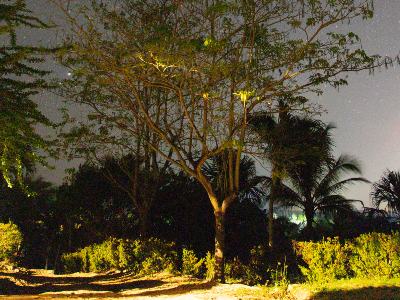 retiros de bienestar la guajira colombia Wellness Retreat & Mindfulness