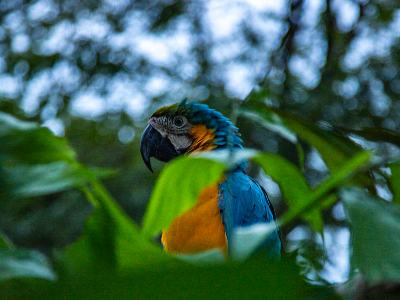 retiros de bienestar la guajira colombia Wellness Retreat & Mindfulness